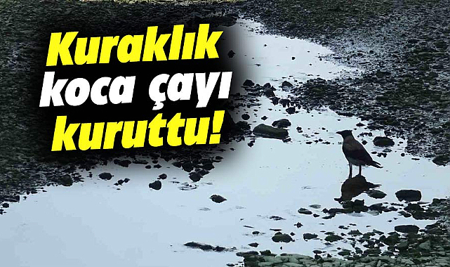 Samsun'da kuraklık ve yaz sıcağı Kürtün Çayını kuruttu!