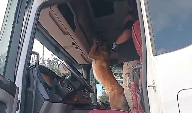 Samsun'da narkotik köpeği 'Sam' uyuşturucuya geçit vermiyor