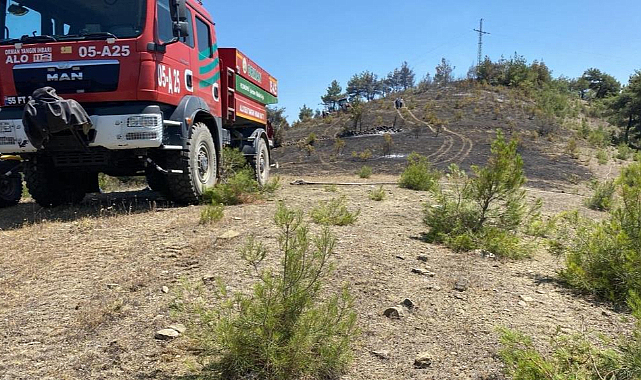 Samsun’da örtü yangını korkuttu