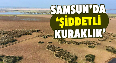 Samsun’da ‘şiddetli kuraklık’ 