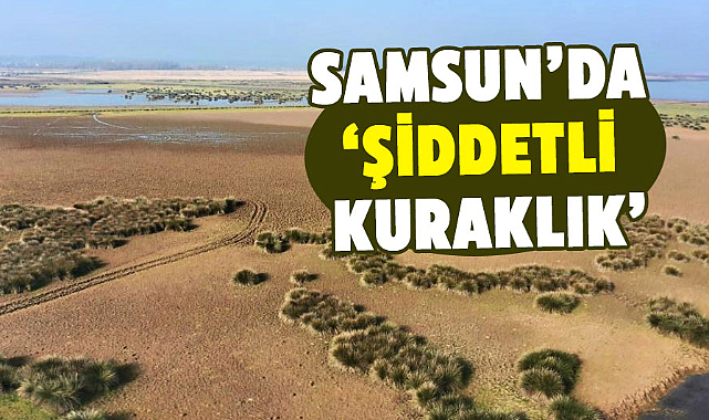 Samsun’da ‘şiddetli kuraklık’ 