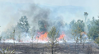 Samsun'da tarım arazisinde çıkan yangın ormanlık alana sıçradı