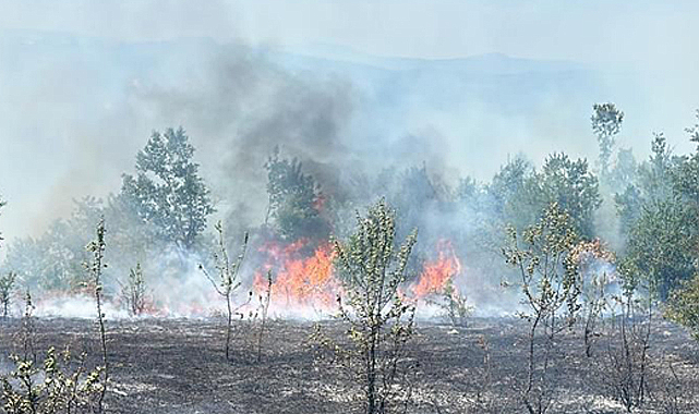 Samsun'da tarım arazisinde çıkan yangın ormanlık alana sıçradı