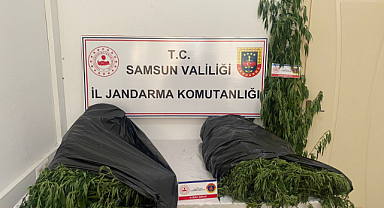 Samsun'da uyuşturucu operasyonu: 5,5 kilo esrar ele geçirildi
