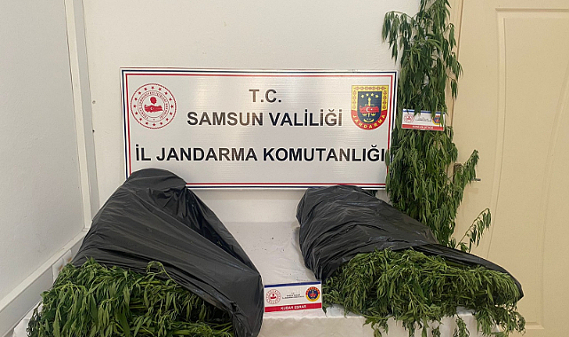 Samsun'da uyuşturucu operasyonu: 5,5 kilo esrar ele geçirildi