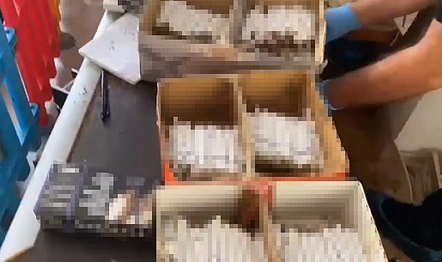 Samsun'da uyuşturucu operasyonu