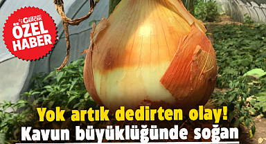 Samsun’da yok artık dedirten olay! Kavun büyüklüğünde soğan