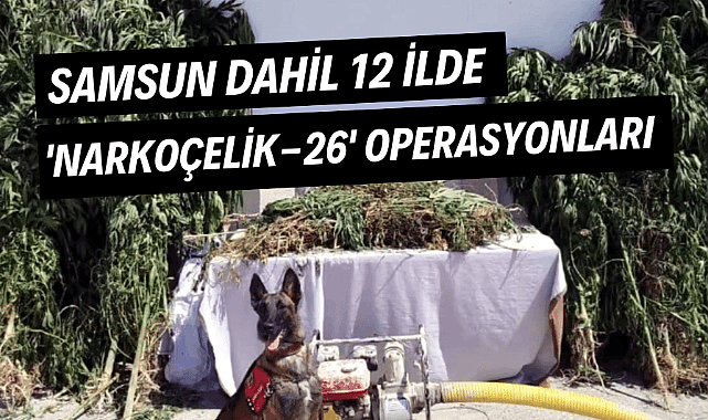 Samsun dahil 12 ilde 'Narkoçelik-26' operasyonları: 57 gözaltı
