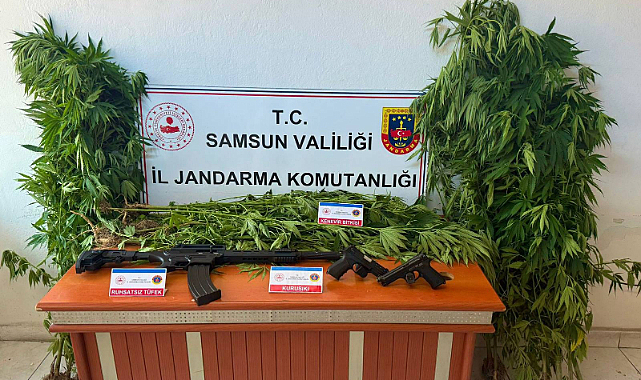 Samsun Terme’de uyuşturucu operasyonu