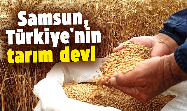 Samsun, Türkiye'nin tarım devi