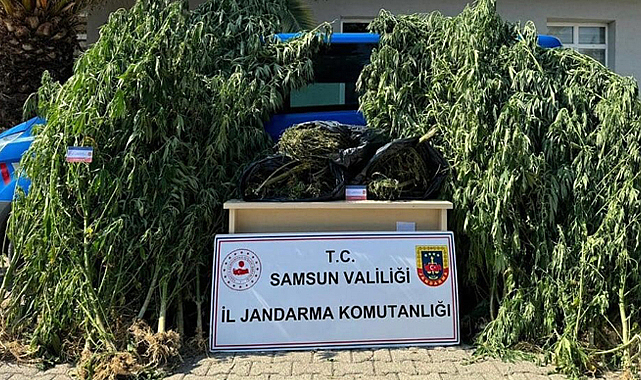 Samsun'un 19 Mayıs İlçesi'nde bir evden 6 kilo esrar çıktı