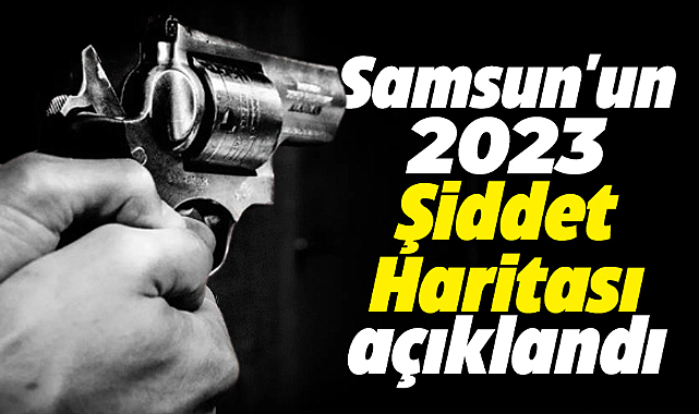 Samsun'un 2023 Şiddet Haritası açıklandı