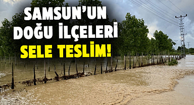 Samsun’un doğu ilçeleri sele teslim!