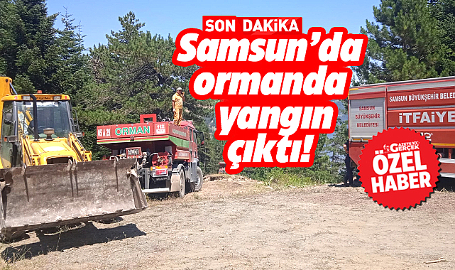Samsun'un Yakakent ilçesinde ormanda yangın çıktı!