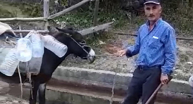 Samsun Yakakent'te vatandaşlar eşek ile su taşıyor