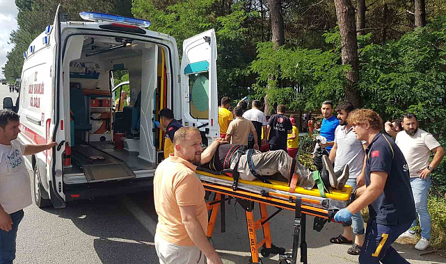 Samsun'da otomobil ağaca çarptı 2 yaralı