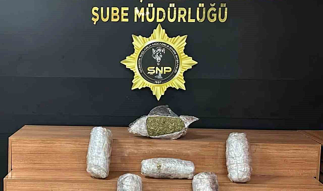 Şanlıurfa'da 18 kilogram skunk ele geçirildi: 2 gözaltı