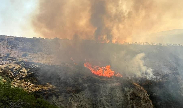 Şarköy'de otluk alanda yangın