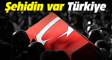 Şehidin var Türkiye