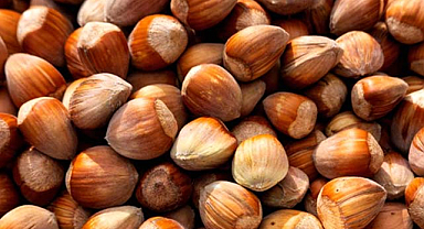 Serbest piyasa fındık fiyatları ne kadar?