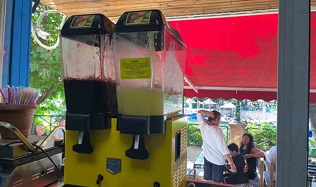 Sıcaklar attıkça onların da işleri artıyor