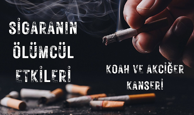 Sigaranın Ölümcül Etkileri: KOAH ve Akciğer Kanseri