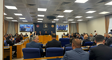 Sokak hayvanları teklifinin ilk 3 maddesi kabul edildi! 