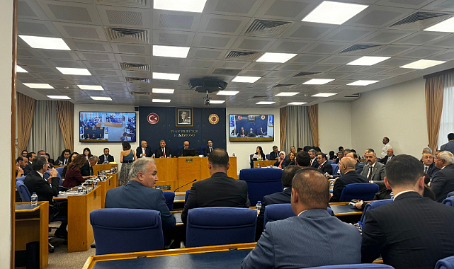 Sokak hayvanları teklifinin ilk 3 maddesi kabul edildi! 