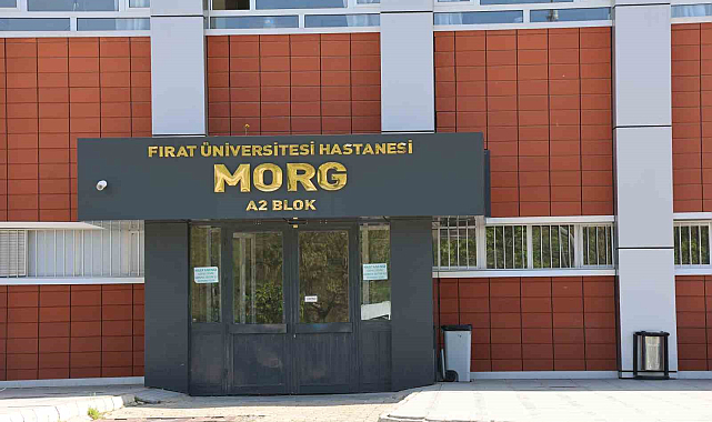 Trenin altında kalan şahıs hayatını kaybetti