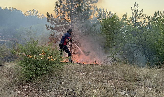 Tokat'ta ormanlık alanda yangın çıktı