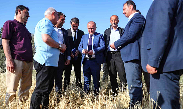 Tokat'ta şiddetli yağışlar tarım arazilerini vurdu