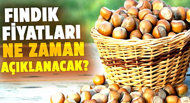Yeni fındık fiyatları ne zaman açıklanacak? 2024 yılı fındık fiyatları