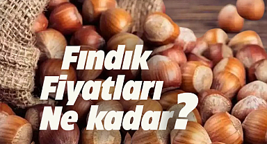 24 Temmuz fındık fiyatları ne kadar?