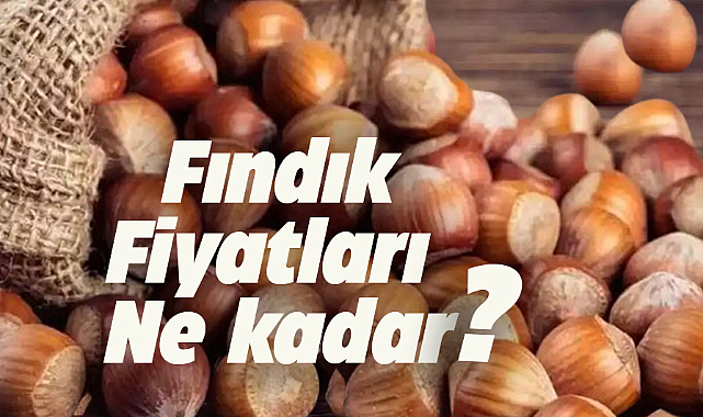 24 Temmuz fındık fiyatları ne kadar?