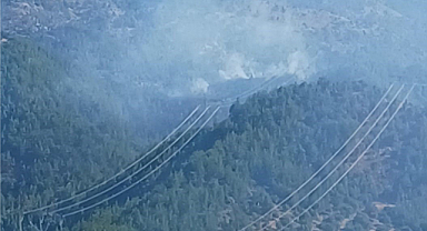 Adana'nın Kozan ilçesinde orman yangınına müdahale eden helikopter baraja düştü