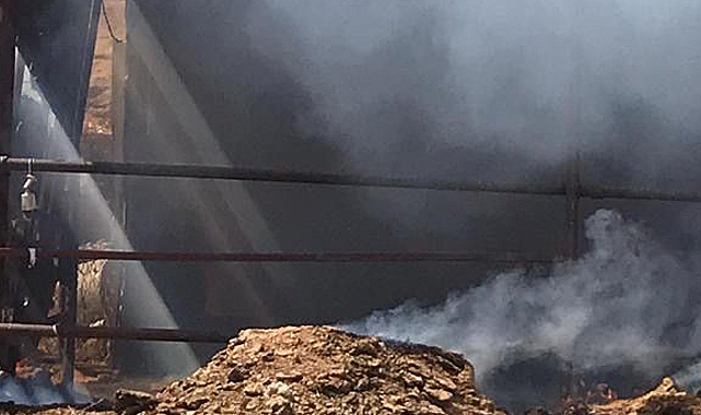 Adıyaman'da, ormanlık alanda çıkan örtü yangınında bir ahır kül oldu