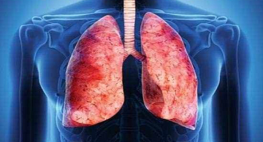 Akciğerleri temizleyen işte o besinler! Bu besinlere dikkat