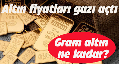 Altın fiyatları artıyor mu?