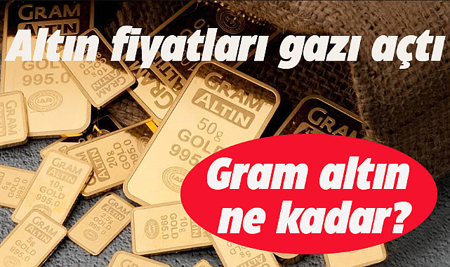 Altın fiyatları artıyor mu?