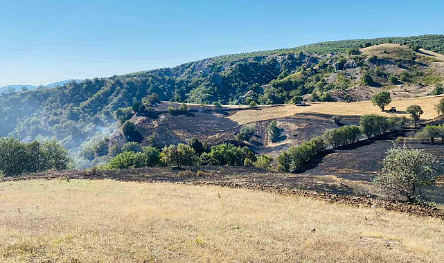 Amasya'da anız yangını ormana sıçramadan söndürüldü