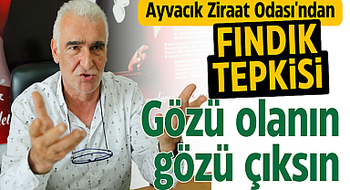 Ayvacık ZMO'dan fındık tepkisi! Gözü olanın gözü çıksın