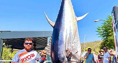 Balıkçılar, 316 kiloluk dev orkinos yakaladı