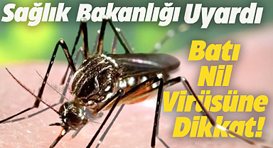 Batı Nil Virüsü 6 kişide tespit edildi