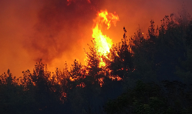 Çanakkale'deki orman yangını Gelibolu Yarımadası'nı tehdit ediyor