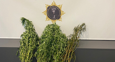 Canik'te uyuşturucu operasyonu!