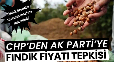 CHP'den AK Parti'ye fındık tepkisi 'Fındık üreticisi tüccarın insafına terk edildi'