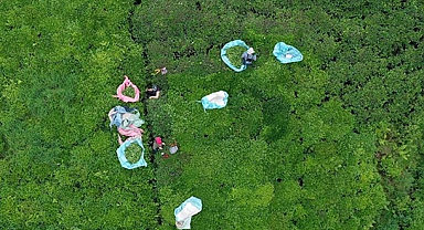 Doğu Karadeniz’den 7 ayda 933 milyon dolar ihracat