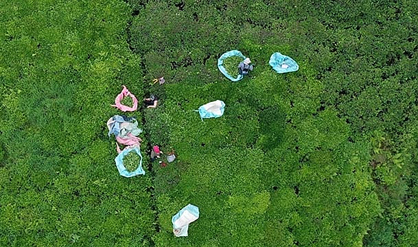 Doğu Karadeniz’den 7 ayda 933 milyon dolar ihracat