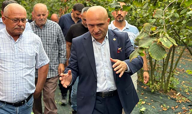 Erhan Usta: Fındık üreticilerinin sorunlarına acil çözüm gerekiyor