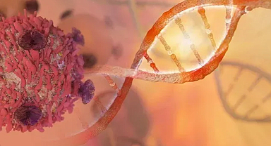 Erkekler kanser riskine dikkat! yüzde 84 artışta